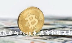 TP钱包中的Doge币，是分红